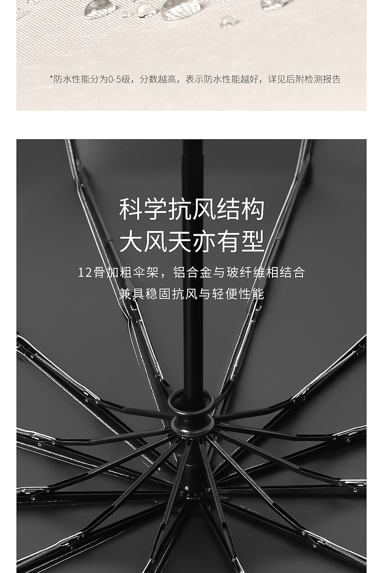 Automatic Folding Umbrella 12-Bone Men Large Size Double Women's Dual-Use Sun-Proof UV-Proof Sun Umbrella