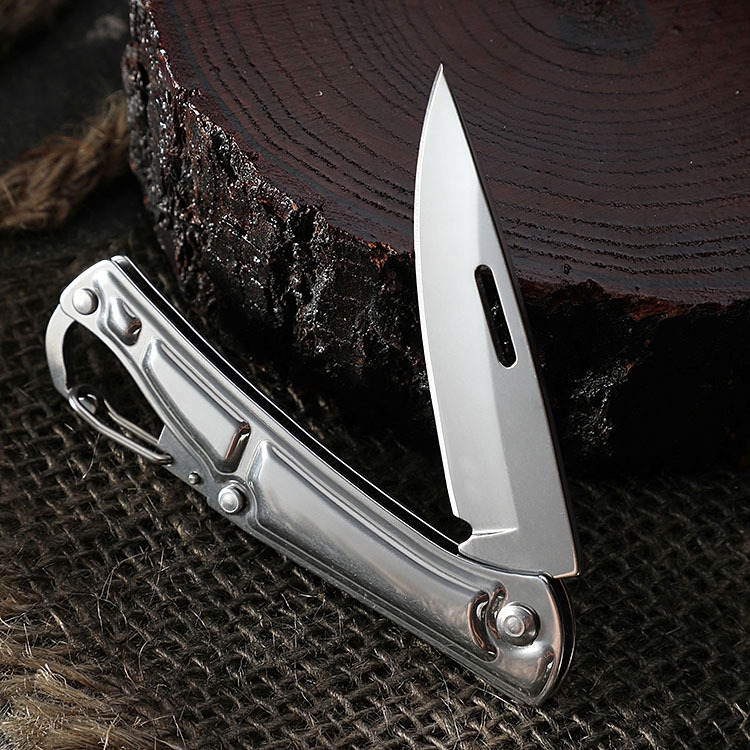 Mini Outdoor Knife Outdoor Folding Knife Stainless Steel Self-Defense Camping Survival Knife a Folding Knife Key Fruit Knife