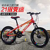 The new 12-inch 16-inch children's upscale student car folding belt will reduce the bicycle wholesale The new 12-inch 16-inch children's upscale student car folding belt will reduce the bicycle wholesale