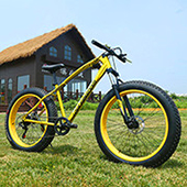 The new 12-inch 16-inch children's upscale student car folding belt will reduce the bicycle wholesale The new 12-inch 16-inch children's upscale student car folding belt will reduce the bicycle wholesale