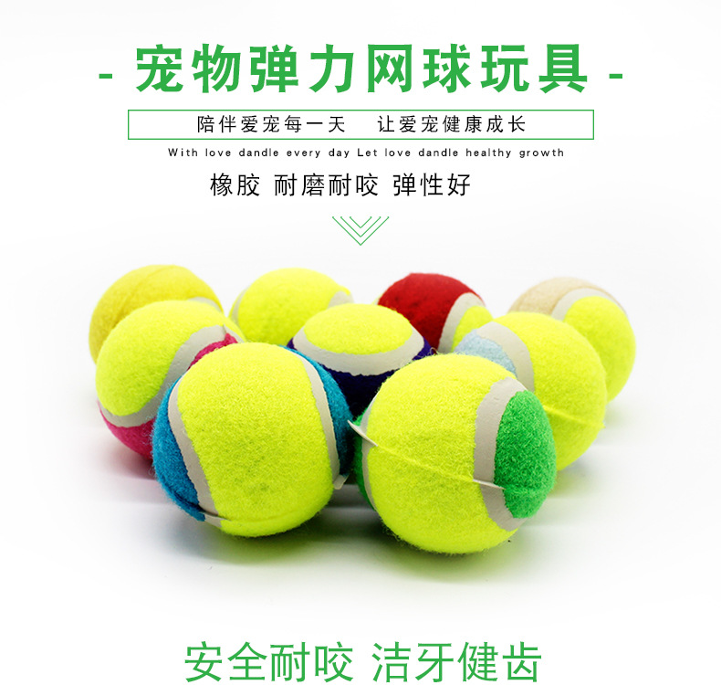 Pet tennis ball color four clothes without jumping golden teddy dog training grinding teeth to chew toys. Pet tennis ball color four clothes without jumping golden teddy dog training grinding teeth to chew toys.