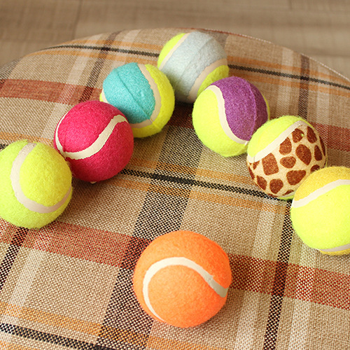 Pet tennis ball color four clothes without jumping golden teddy dog training grinding teeth to chew toys. Pet tennis ball color four clothes without jumping golden teddy dog training grinding teeth to chew toys.