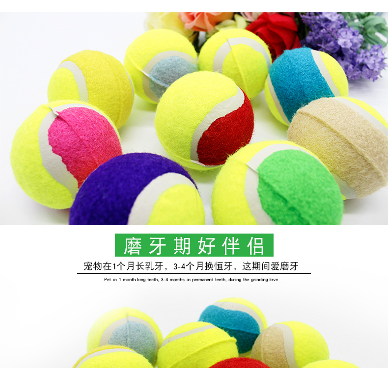 Pet tennis ball color four clothes without jumping golden teddy dog training grinding teeth to chew toys. Pet tennis ball color four clothes without jumping golden teddy dog training grinding teeth to chew toys.