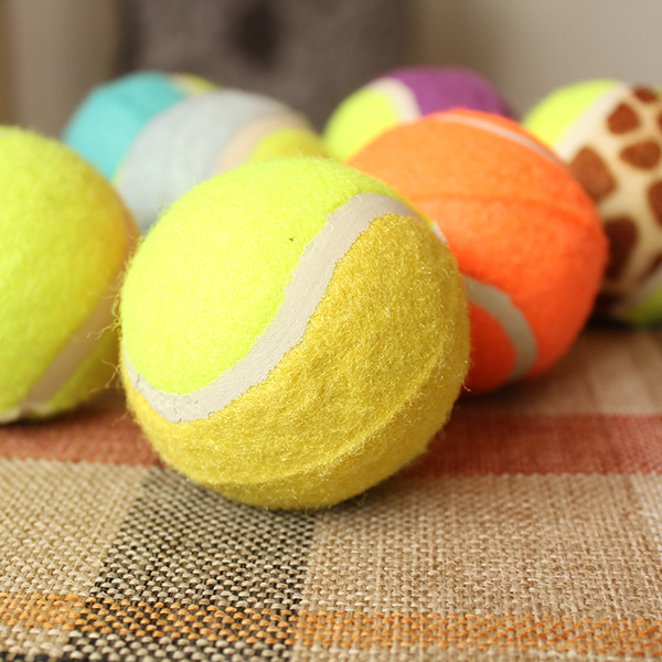 Pet tennis ball color four clothes without jumping golden teddy dog training grinding teeth to chew toys. Pet tennis ball color four clothes without jumping golden teddy dog training grinding teeth to chew toys.