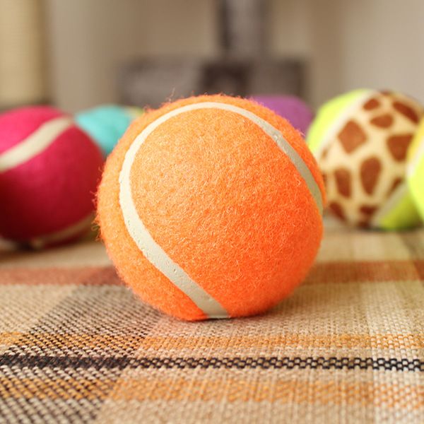 Pet tennis ball color four clothes without jumping golden teddy dog training grinding teeth to chew toys. Pet tennis ball color four clothes without jumping golden teddy dog training grinding teeth to chew toys.