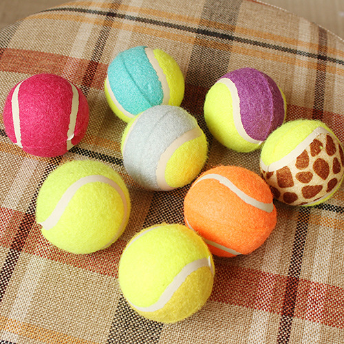 Pet tennis ball color four clothes without jumping golden teddy dog training grinding teeth to chew toys. Pet tennis ball color four clothes without jumping golden teddy dog training grinding teeth to chew toys.