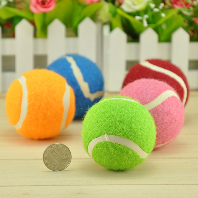 Pet tennis ball color four clothes without jumping golden teddy dog training grinding teeth to chew toys. Pet tennis ball color four clothes without jumping golden teddy dog training grinding teeth to chew toys.