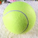 Authentic train pet wool, durable elastic pressure foot the cost price of tennis tennis shop