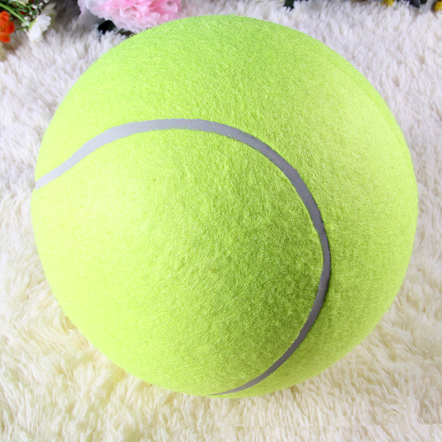 Authentic train pet wool, durable elastic pressure foot the cost price of tennis tennis shop