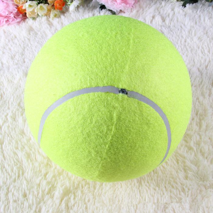 Authentic train pet wool, durable elastic pressure foot the cost price of tennis tennis shop Authentic train pet wool, durable elastic pressure foot the cost price of tennis tennis shop