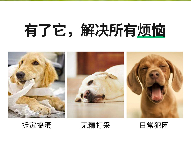Factory Supply 19cm Diameter Pu Material Interactive Pet Dog Outdoor Toy Ball Pet Training Belt Rope Football