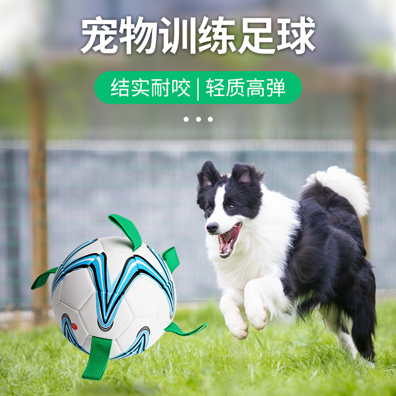 Factory Supply 19cm Diameter Pu Material Interactive Pet Dog Outdoor Toy Ball Pet Training Belt Rope Football