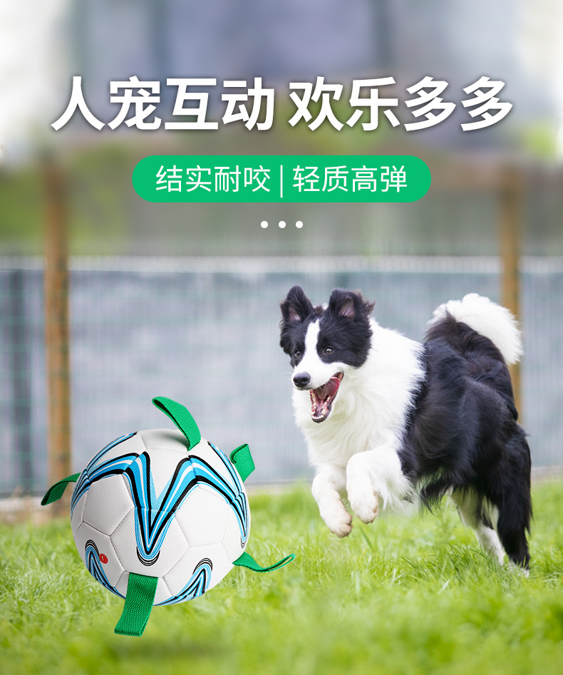 Factory Supply 19cm Diameter Pu Material Interactive Pet Dog Outdoor Toy Ball Pet Training Belt Rope Football