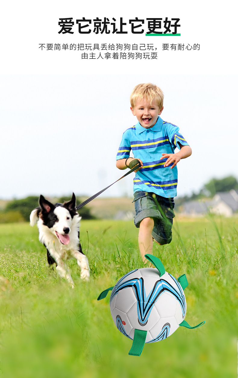 Factory Supply 19cm Diameter Pu Material Interactive Pet Dog Outdoor Toy Ball Pet Training Belt Rope Football