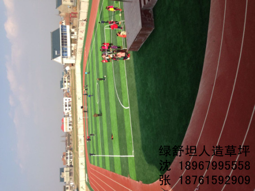 Plant simulation football stadium lawn lawn decorations lawn