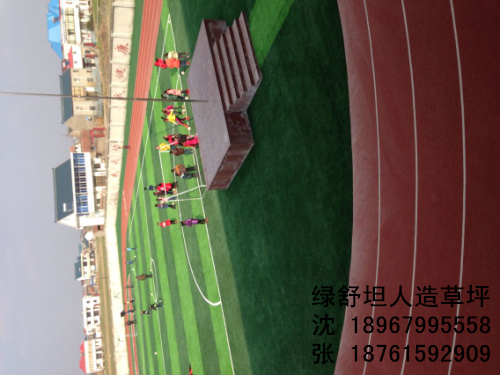 Plant simulation football stadium lawn lawn decorations lawn