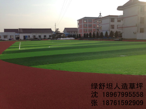 Plant simulation football stadium lawn lawn decorations lawn