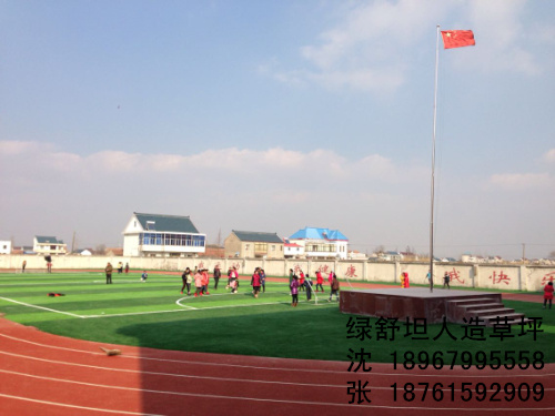 Plant simulation football stadium lawn lawn decorations lawn