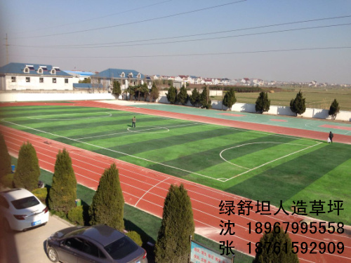 Plant simulation football stadium lawn lawn decorations lawn