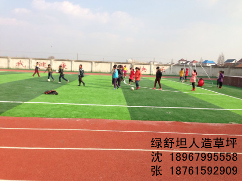 School football artificial turf plastic lawn turf sod