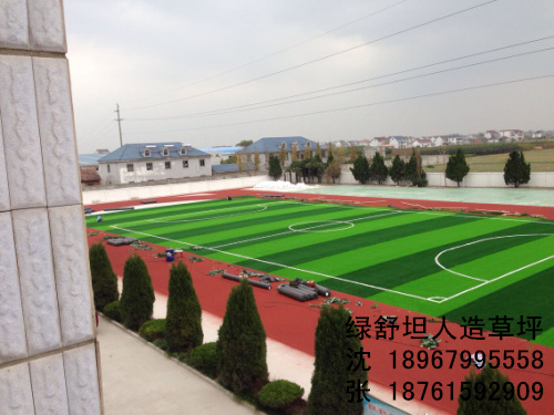 School football stadium lawn decorations lawn
