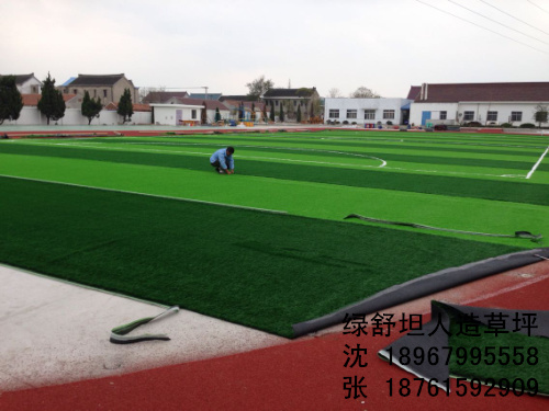 School football stadium lawn decorations lawn