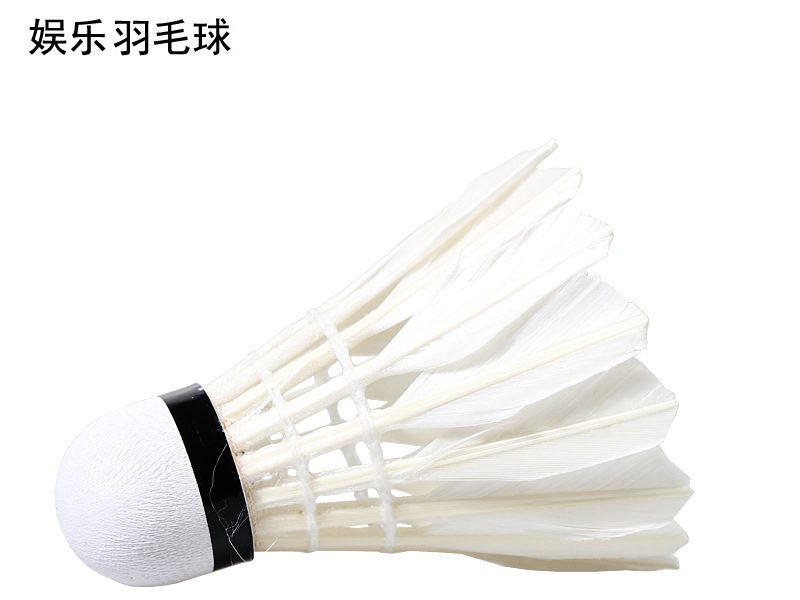 LEIJIAER 1001 Resistant to Playing Badminton Fiber Head Training Ball Badminton Family Entertainment 12 Pieces LEIJIAER 1001 Resistant to Playing Badminton Fiber Head Training Ball Badminton Family Entertainment 12 Pieces