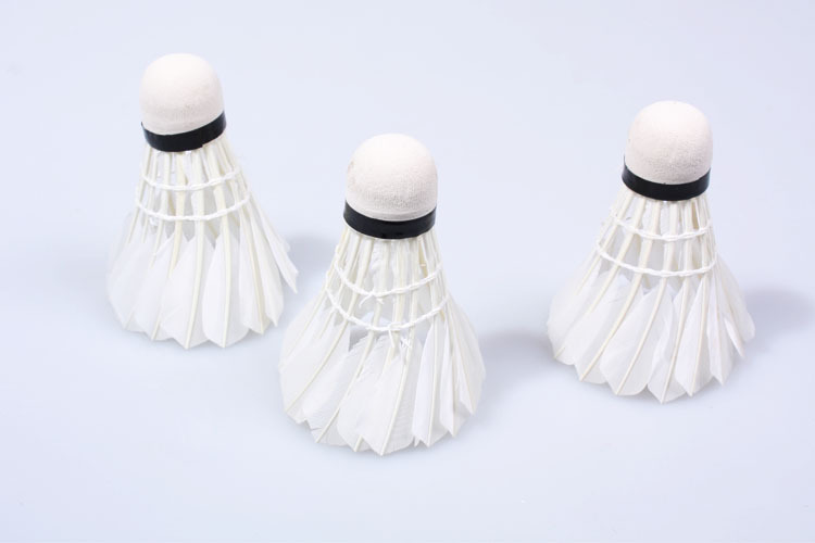LEIJIAER 1001 Resistant to Playing Badminton Fiber Head Training Ball Badminton Family Entertainment 12 Pieces LEIJIAER 1001 Resistant to Playing Badminton Fiber Head Training Ball Badminton Family Entertainment 12 Pieces