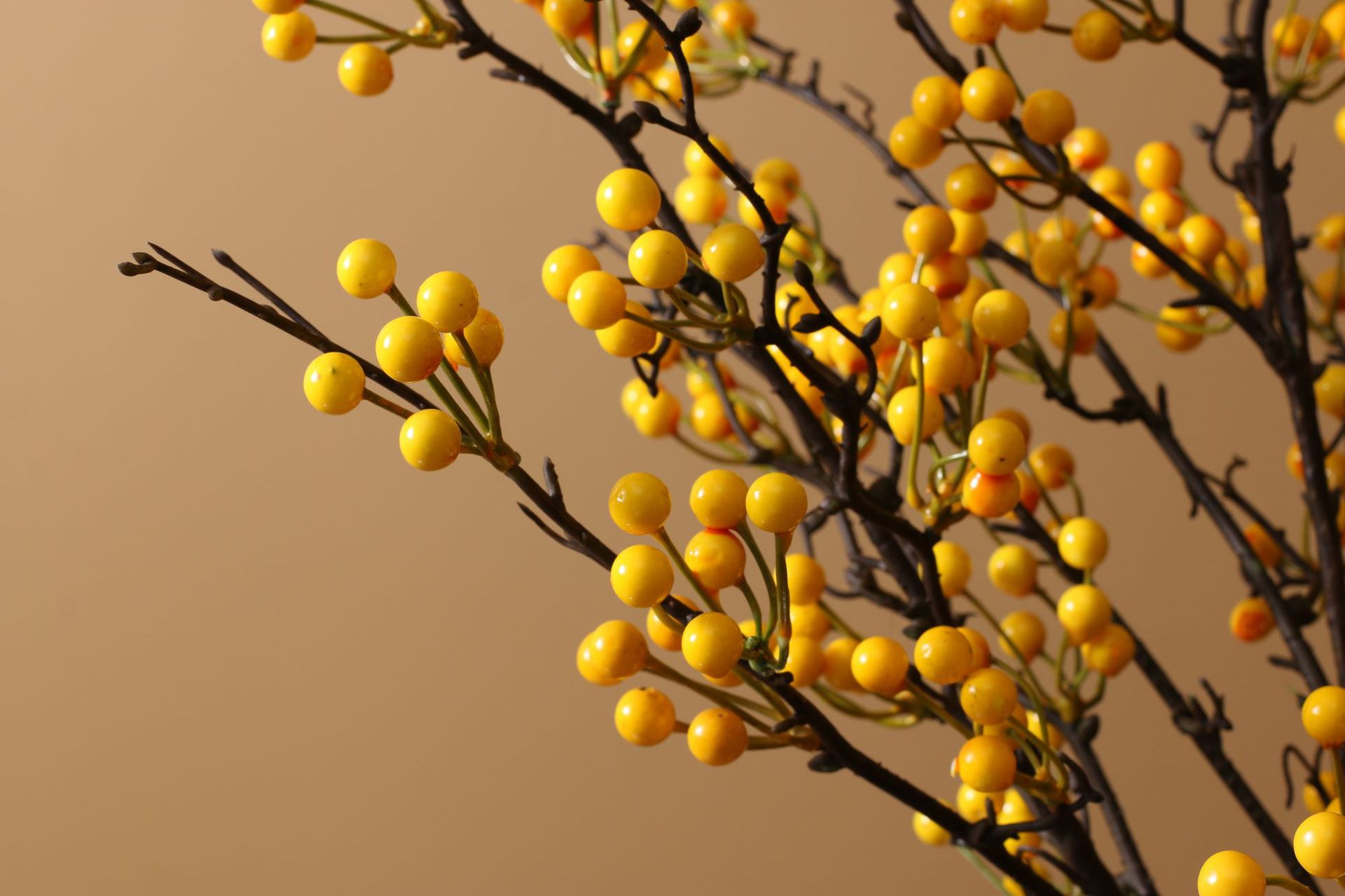 Simulation Berries European-Style Christmas Decoration Artificial Flower Artificial Plant Hollyberry Floor-Standing Decorations Artificial Artificial Flower Decoration Simulation Berries European-Style Christmas Decoration Artificial Flower Artificial Plant Hollyberry Floor-Standing Decorations Artificial Artificial Flower Decoration