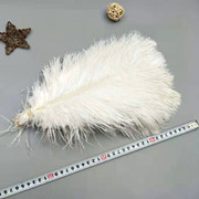 Factory in Stock 25-30cm Colorful Ostrich Feather Wedding Flower Arrangement Decoration DIY Ornament Accessories Variety Feather Factory in Stock 25-30cm Colorful Ostrich Feather Wedding Flower Arrangement Decoration DIY Ornament Accessories Variety Feather