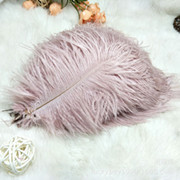 Factory in Stock 25-30cm Colorful Ostrich Feather Wedding Flower Arrangement Decoration DIY Ornament Accessories Variety Feather Factory in Stock 25-30cm Colorful Ostrich Feather Wedding Flower Arrangement Decoration DIY Ornament Accessories Variety Feather