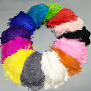 Factory in Stock 25-30cm Colorful Ostrich Feather Wedding Flower Arrangement Decoration DIY Ornament Accessories Variety Feather Factory in Stock 25-30cm Colorful Ostrich Feather Wedding Flower Arrangement Decoration DIY Ornament Accessories Variety Feather