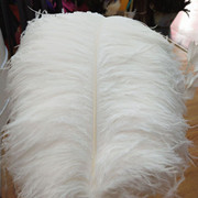 Factory in Stock 25-30cm Colorful Ostrich Feather Wedding Flower Arrangement Decoration DIY Ornament Accessories Variety Feather Factory in Stock 25-30cm Colorful Ostrich Feather Wedding Flower Arrangement Decoration DIY Ornament Accessories Variety Feather