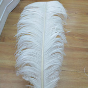 Factory in Stock 25-30cm Colorful Ostrich Feather Wedding Flower Arrangement Decoration DIY Ornament Accessories Variety Feather Factory in Stock 25-30cm Colorful Ostrich Feather Wedding Flower Arrangement Decoration DIY Ornament Accessories Variety Feather