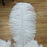 Factory in Stock 25-30cm Colorful Ostrich Feather Wedding Flower Arrangement Decoration DIY Ornament Accessories Variety Feather Factory in Stock 25-30cm Colorful Ostrich Feather Wedding Flower Arrangement Decoration DIY Ornament Accessories Variety Feather