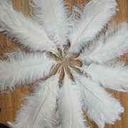 Factory in Stock 25-30cm Colorful Ostrich Feather Wedding Flower Arrangement Decoration DIY Ornament Accessories Variety Feather Factory in Stock 25-30cm Colorful Ostrich Feather Wedding Flower Arrangement Decoration DIY Ornament Accessories Variety Feather