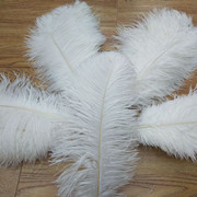 Factory in Stock 25-30cm Colorful Ostrich Feather Wedding Flower Arrangement Decoration DIY Ornament Accessories Variety Feather Factory in Stock 25-30cm Colorful Ostrich Feather Wedding Flower Arrangement Decoration DIY Ornament Accessories Variety Feather