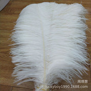 Factory in Stock 25-30cm Colorful Ostrich Feather Wedding Flower Arrangement Decoration DIY Ornament Accessories Variety Feather Factory in Stock 25-30cm Colorful Ostrich Feather Wedding Flower Arrangement Decoration DIY Ornament Accessories Variety Feather