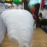 Factory in Stock 25-30cm Colorful Ostrich Feather Wedding Flower Arrangement Decoration DIY Ornament Accessories Variety Feather Factory in Stock 25-30cm Colorful Ostrich Feather Wedding Flower Arrangement Decoration DIY Ornament Accessories Variety Feather