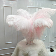 Factory in Stock 25-30cm Colorful Ostrich Feather Wedding Flower Arrangement Decoration DIY Ornament Accessories Variety Feather Factory in Stock 25-30cm Colorful Ostrich Feather Wedding Flower Arrangement Decoration DIY Ornament Accessories Variety Feather