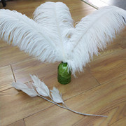 Factory in Stock 25-30cm Colorful Ostrich Feather Wedding Flower Arrangement Decoration DIY Ornament Accessories Variety Feather Factory in Stock 25-30cm Colorful Ostrich Feather Wedding Flower Arrangement Decoration DIY Ornament Accessories Variety Feather