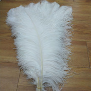 Factory in Stock 25-30cm Colorful Ostrich Feather Wedding Flower Arrangement Decoration DIY Ornament Accessories Variety Feather Factory in Stock 25-30cm Colorful Ostrich Feather Wedding Flower Arrangement Decoration DIY Ornament Accessories Variety Feather