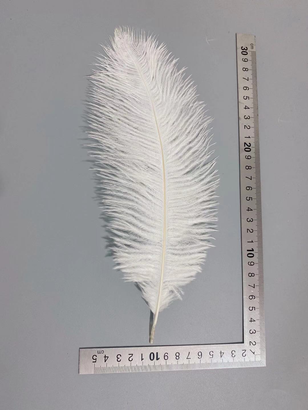 Factory in Stock 25-30cm Colorful Ostrich Feather Wedding Flower Arrangement Decoration DIY Ornament Accessories Variety Feather Factory in Stock 25-30cm Colorful Ostrich Feather Wedding Flower Arrangement Decoration DIY Ornament Accessories Variety Feather