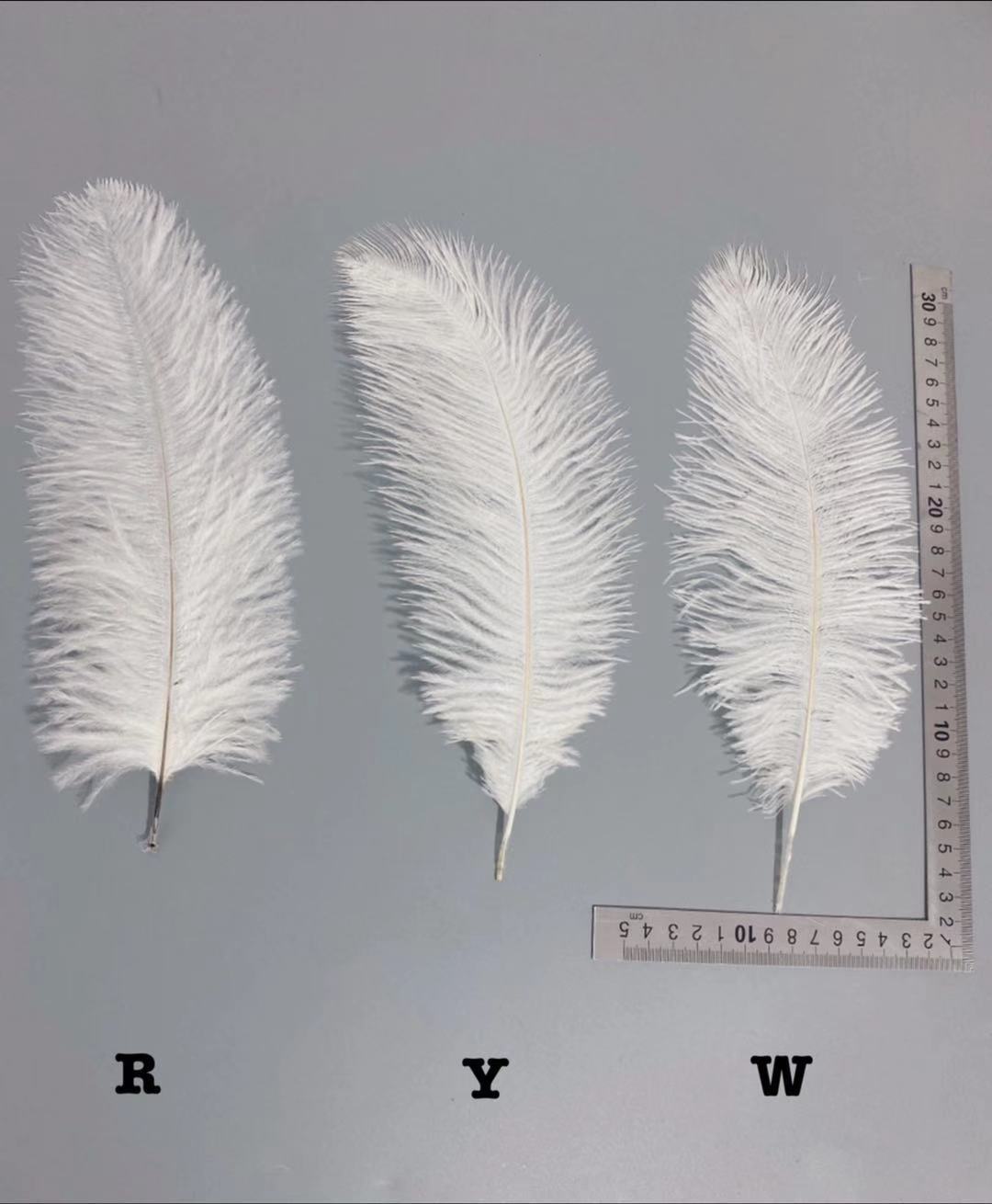 Factory in Stock 25-30cm Colorful Ostrich Feather Wedding Flower Arrangement Decoration DIY Ornament Accessories Variety Feather Factory in Stock 25-30cm Colorful Ostrich Feather Wedding Flower Arrangement Decoration DIY Ornament Accessories Variety Feather