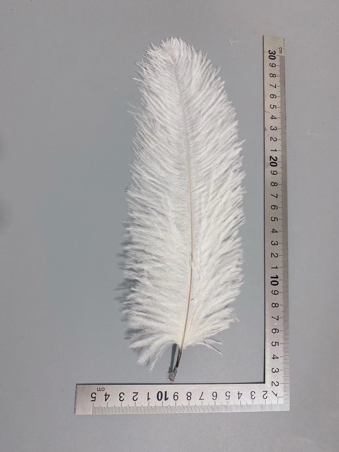 Factory in Stock 25-30cm Colorful Ostrich Feather Wedding Flower Arrangement Decoration DIY Ornament Accessories Variety Feather Factory in Stock 25-30cm Colorful Ostrich Feather Wedding Flower Arrangement Decoration DIY Ornament Accessories Variety Feather