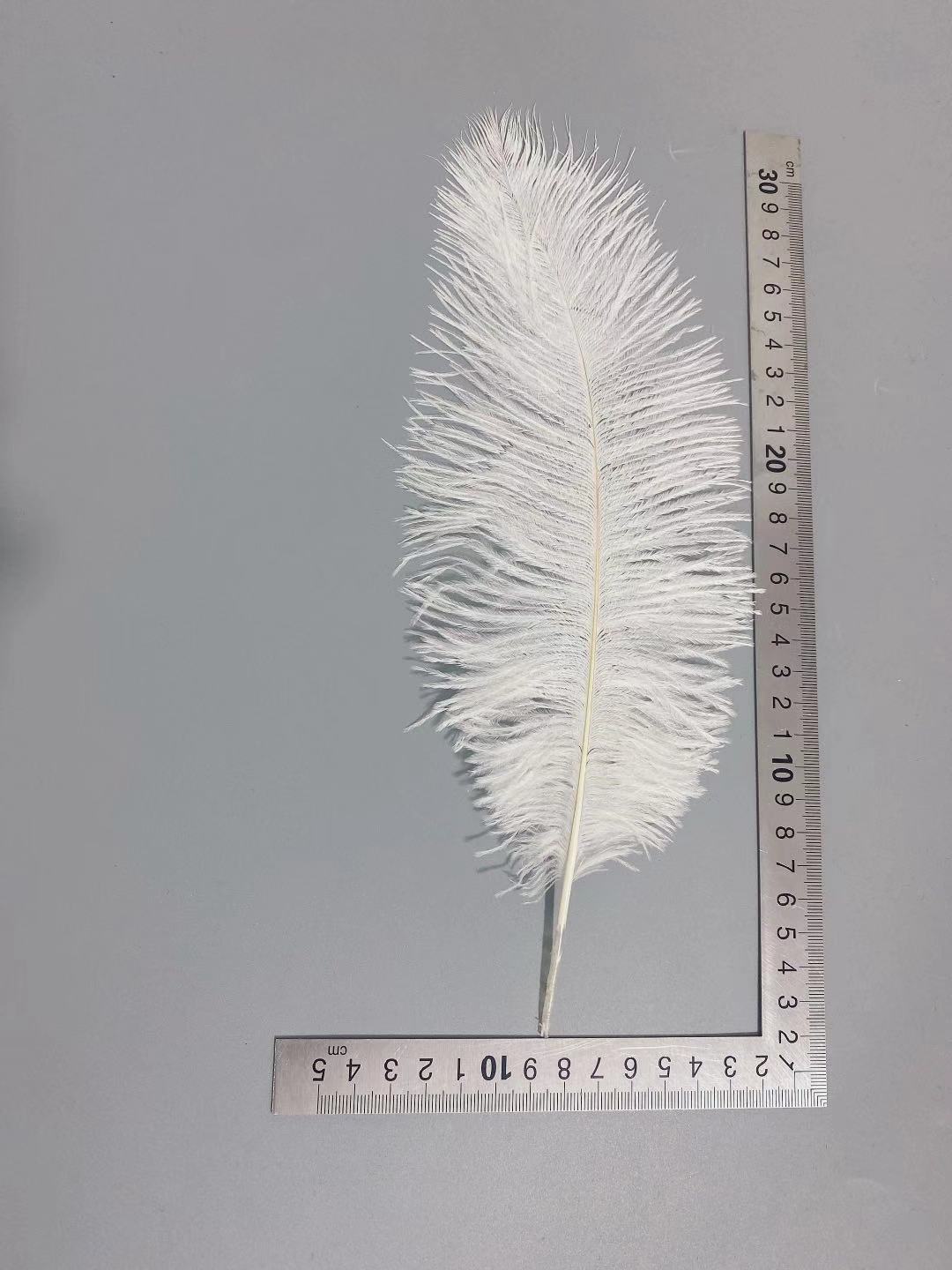 Factory in Stock 25-30cm Colorful Ostrich Feather Wedding Flower Arrangement Decoration DIY Ornament Accessories Variety Feather Factory in Stock 25-30cm Colorful Ostrich Feather Wedding Flower Arrangement Decoration DIY Ornament Accessories Variety Feather