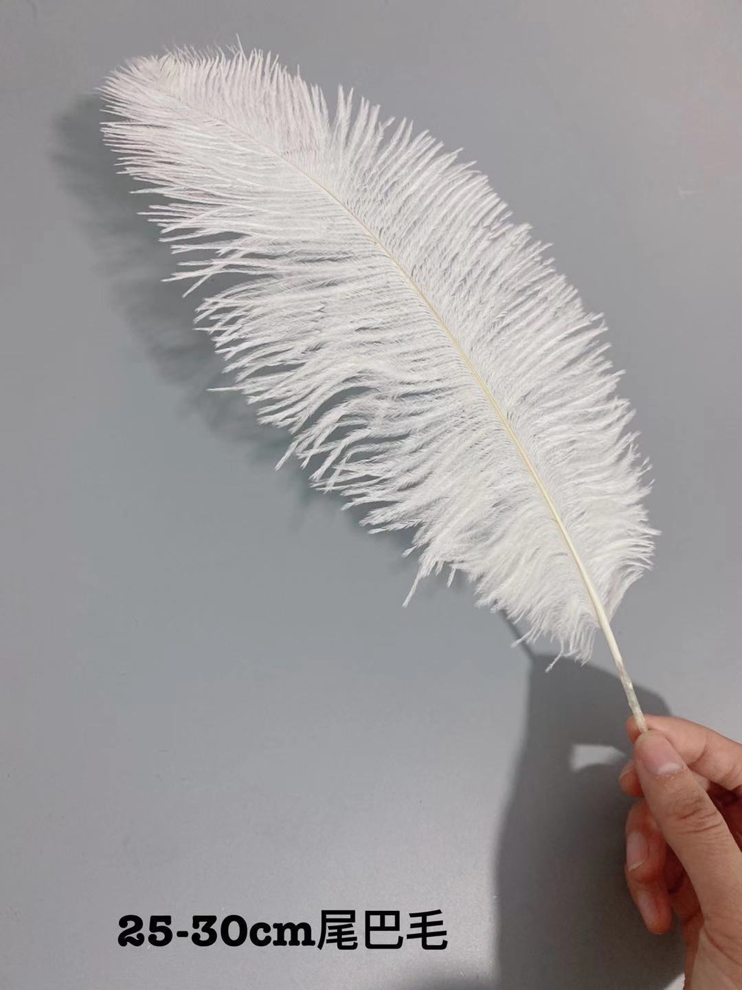 Factory in Stock 25-30cm Colorful Ostrich Feather Wedding Flower Arrangement Decoration DIY Ornament Accessories Variety Feather Factory in Stock 25-30cm Colorful Ostrich Feather Wedding Flower Arrangement Decoration DIY Ornament Accessories Variety Feather