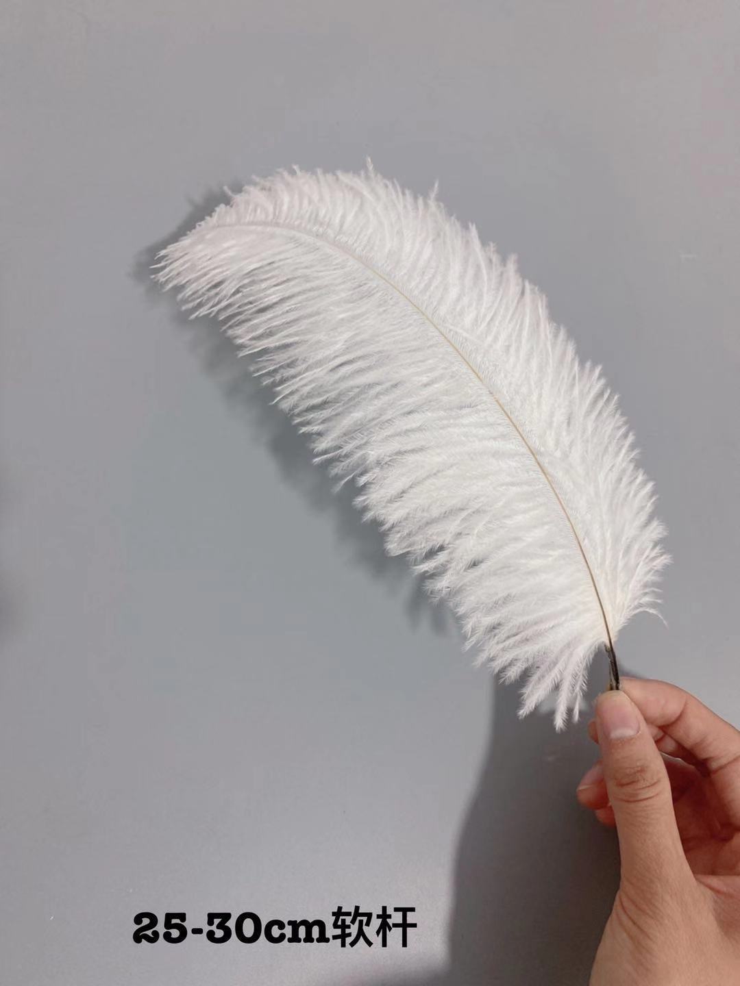 Factory in Stock 25-30cm Colorful Ostrich Feather Wedding Flower Arrangement Decoration DIY Ornament Accessories Variety Feather Factory in Stock 25-30cm Colorful Ostrich Feather Wedding Flower Arrangement Decoration DIY Ornament Accessories Variety Feather