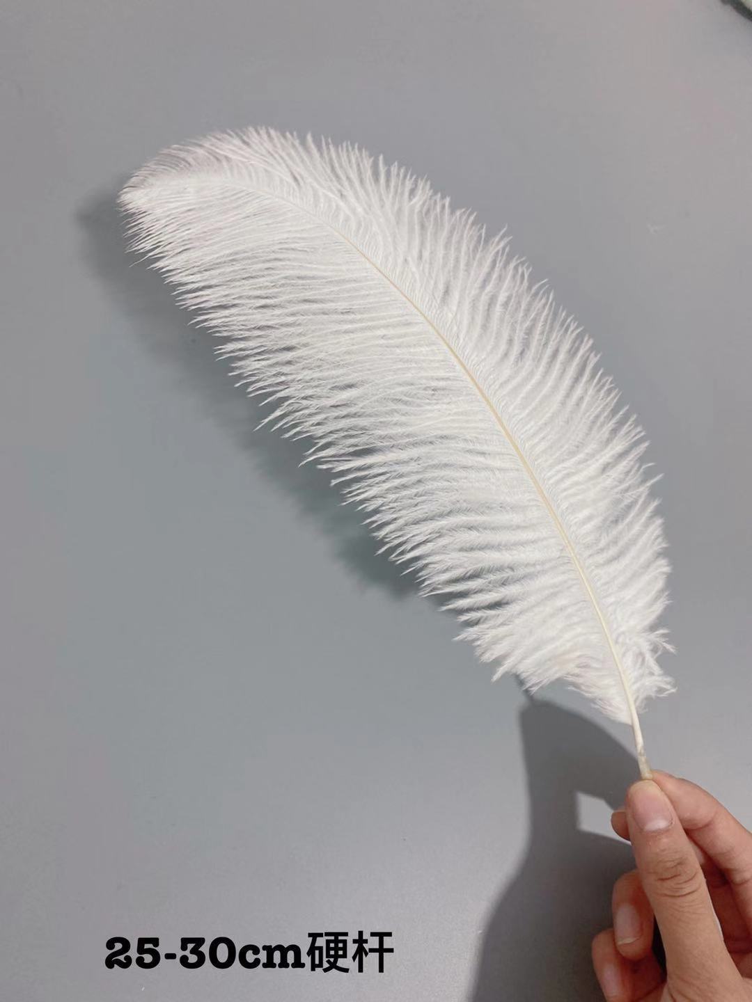 Factory in Stock 25-30cm Colorful Ostrich Feather Wedding Flower Arrangement Decoration DIY Ornament Accessories Variety Feather Factory in Stock 25-30cm Colorful Ostrich Feather Wedding Flower Arrangement Decoration DIY Ornament Accessories Variety Feather