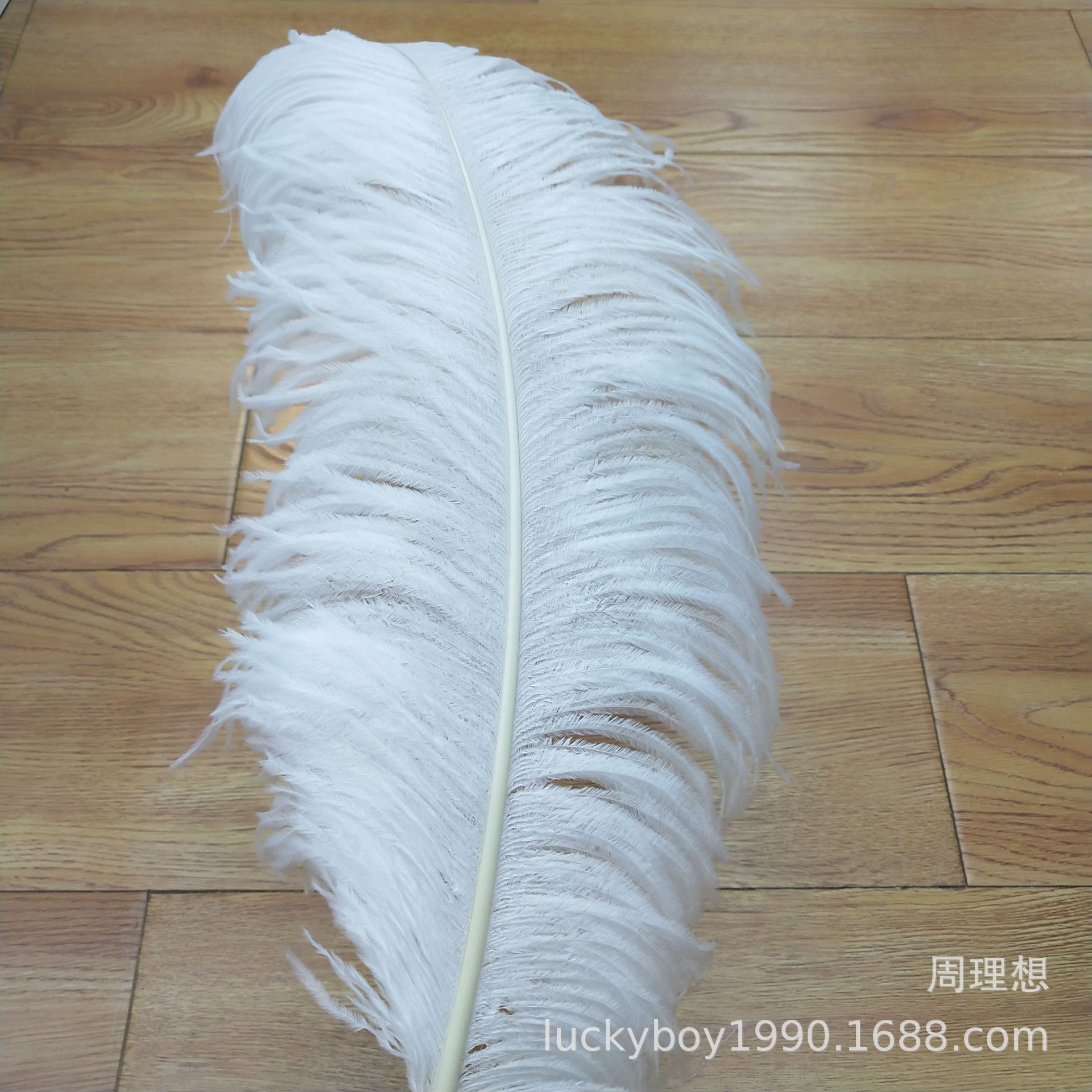 Factory in Stock Supply High Quality 45-50cm White Ostrich Feather Wedding Flower Arrangement Feather Clothing Decorative Accessories Factory in Stock Supply High Quality 45-50cm White Ostrich Feather Wedding Flower Arrangement Feather Clothing Decorative Accessories